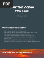 Why The Ocean Matters