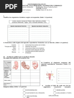 Actividad-Taller N°1