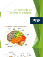 Envejecimiento Del Sistema Neurológico 2 (Aut