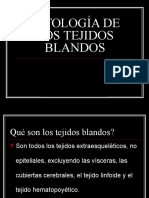 Tejidos Blandos