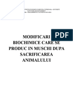 Modificari Care Se Produc in Muschi Dupa Sacrificarea Animalului