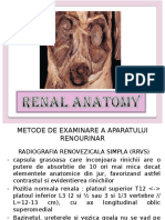 Renal