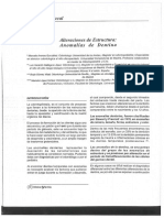 Anomalias de Dentina Dra Arenas PDF