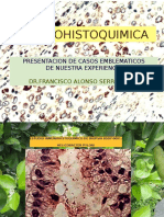 Patologia Quirurgica Con Inmunohistoquimica.