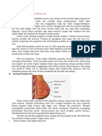 Makalah Perawatan Payudara