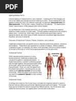 Overview of Anatomical Positions