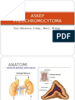 PHEOCHROMOCYTOMA