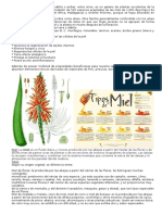 Plantas Medicinales