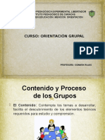 El Facilitador Del Grupo