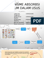 Mekanisme Absorbsi Natrium Dalam Usus