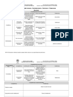 Resumen Competencias, Contribuciones, Criterios y Evidencias