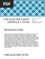 Circulación Portal y Fetal