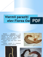 Refer Viermi Powerpoint