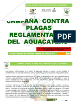 Plagas y Enfermedades Del Aguacate