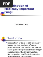 Identification of Medically Important Fungi