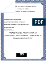 Reacciones de Precipitación en Laboratorio para Observar La Importancia Del Equilibrio Químico