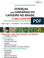 Doenças Secundárias Do Cafeeiro MATIELO