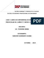 Pae Oficial Uap 2014 (2) - 1acabado Pae