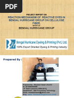 Reaction Mechanism of Reactive Dyes in Bengal Hurricane Group On Cellulose