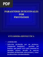 Parasitosis Intestinales Por Protozoos