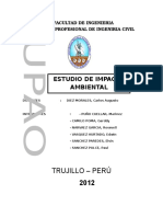 Estudio de Impacto Ambiental Informe