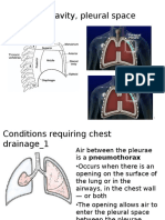 Thoracic Cavity, Pleural Space