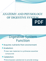 Anatomy and Physiology of Digestive System