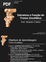 T2 Tronco Encefalico PDF