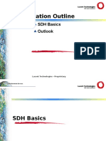 Presentation Outline: SDH Basics Outlook