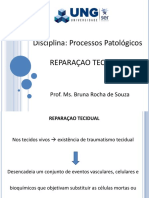 7) Reparação Tecidual