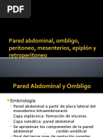 Pared Abdominal, Ombligo, Peritoneo, Mensenterios, Epiplón y Retroperitoneo