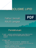 Metabolisme Lipid