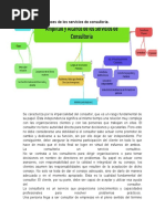 Amplitud y Alcances de Los Servicios de Consultoría