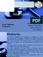 Presentacion Necropsia