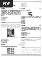 13 Arte Medio Caderno PDF