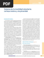 Neuroanatomía Humana PDF