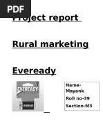 Project Report Rural