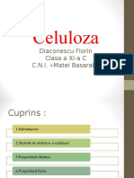 Celuloza 