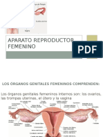 Aparato Reproductor Femenino