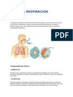 La Respiracion Celular, Tabaquismo y Cancer de Laringe, Faringe y Pulmon