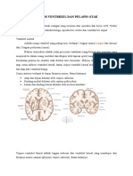 Sistem Ventrikel Dan Pelapis Otak