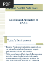 Computer Assisted Audit Tools