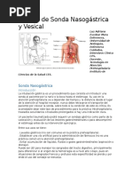 Manejo de Sonda Nasogástrica y Vesical