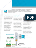 Biochar: CSIRO Land and Water