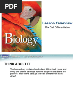 Section 10.4 Biology Book