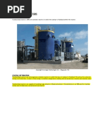 Fluidized Bed Reactors