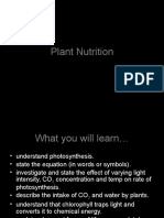 Plant Nutrition