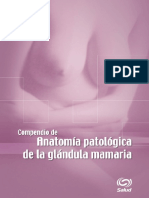 Compendio de Anatomía Patológica de La Glándula Mamaria