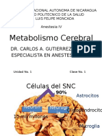 Metabolismo Cerebral