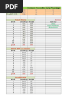 Luis Camejo Spreadsheet